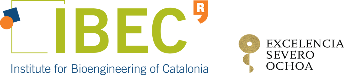 IBEC Logo